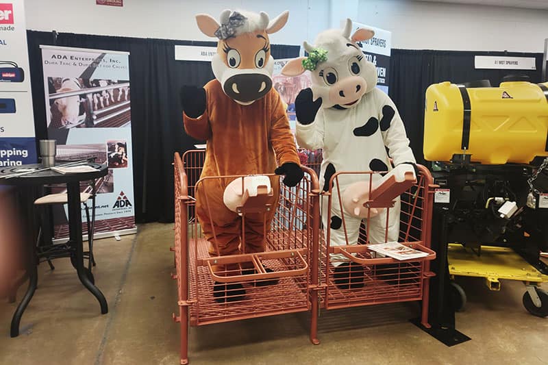 trade show cute cows