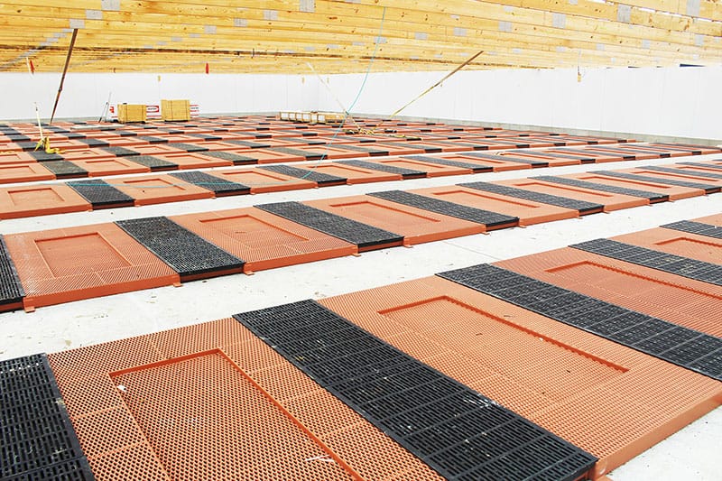 What Livestock Flooring is Best for Pigs? ADA Enterprises, Inc.